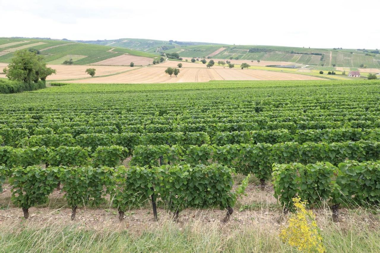 Entre Bourges Et Sancerre, Relaxantes Les Aix-d'Angillon